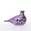 Birds Amethyst bird 836