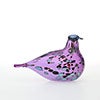 Birds Amethyst bird 844