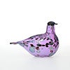 Birds Amethyst bird 848
