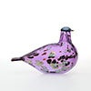 Birds Amethyst bird 851
