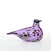 Birds Amethyst bird 864