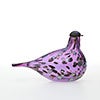 Birds Amethyst bird 869