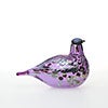 Birds Amethyst bird 871