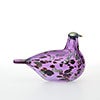 Birds Amethyst bird 872