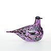 Birds Amethyst bird 876