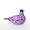 Birds Amethyst bird 882