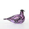 Birds Amethyst bird 886