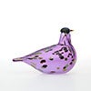 Birds Amethyst bird 889