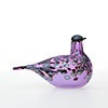 Birds Amethyst bird 898