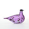 Birds Amethyst bird 939