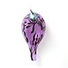 Birds Amethyst bird 79