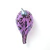 Birds Amethyst bird 129