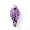 Birds Amethyst bird 131