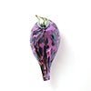 Birds Amethyst bird 253