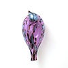 Birds Amethyst bird 277