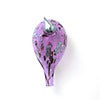 Birds Amethyst bird 336