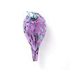 Birds Amethyst bird 552