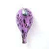 Birds Amethyst bird 596