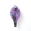 Birds Amethyst bird 600