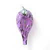 Birds Amethyst bird 614