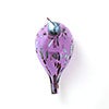 Birds Amethyst bird 633