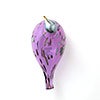 Birds Amethyst bird 638