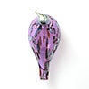 Birds Amethyst bird 911