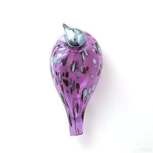 Birds Amethyst bird 0946