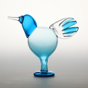 Birds Ano ターコイズ 0042