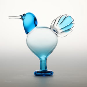 Birds Ano ターコイズ 0051