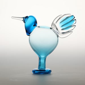 Birds Ano ターコイズ 0090