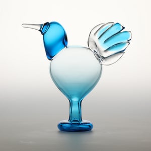 Birds Ano ターコイズ 0096