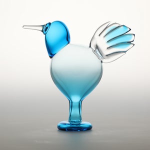 Birds Ano ターコイズ 0144