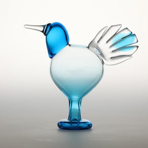 Birds Ano ターコイズ 0150