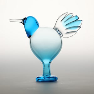 Birds Ano ターコイズ 0165