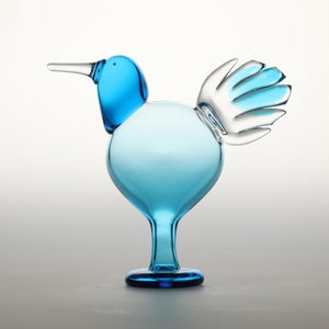 Birds Ano ターコイズ 0168