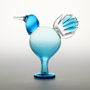 Birds Ano ターコイズ 0178