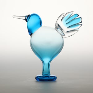 Birds Ano ターコイズ 0190