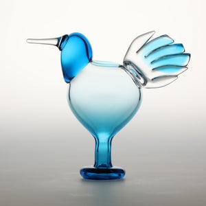 Birds Ano ターコイズ 0191