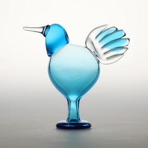 Birds Ano ターコイズ 0195