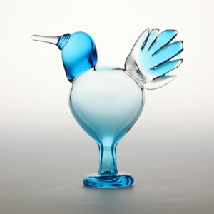 Birds Ano ターコイズ 0197