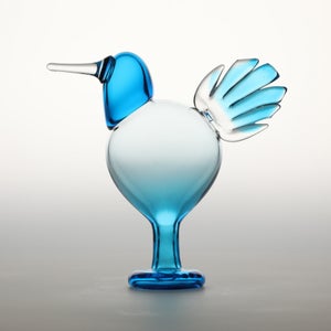 Birds Ano ターコイズ 0199