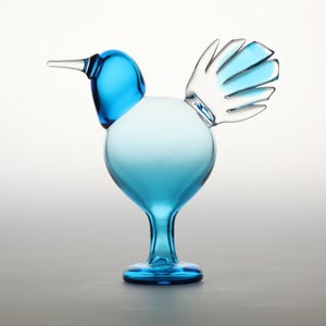 Birds Ano ターコイズ 0204