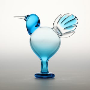 Birds Ano ターコイズ 0237