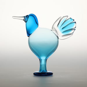 Birds Ano ターコイズ 0243