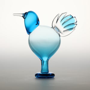 Birds Ano ターコイズ 0245