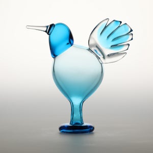 Birds Ano ターコイズ 0251