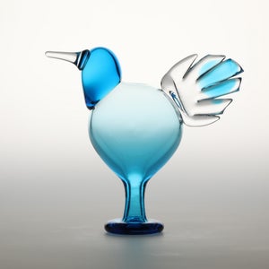 Birds Ano ターコイズ 0271