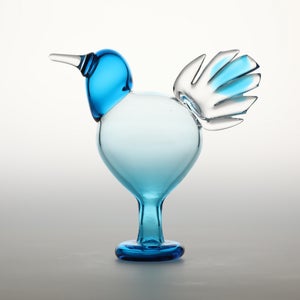 Birds Ano ターコイズ 0276