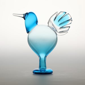 Birds Ano ターコイズ 0286